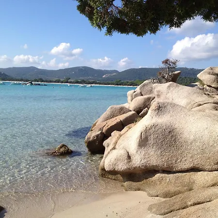 Design Appartement *