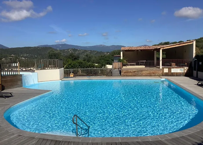 Design * 维琪奥港